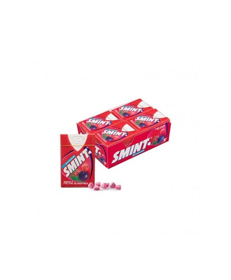 SMINT FRUTAS SILVESTRES 12X8GR.