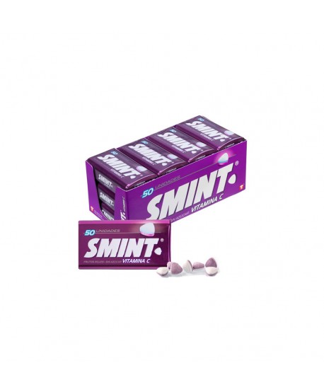 SMINT MINTS FRUTOS ROJOS 12X35GR.