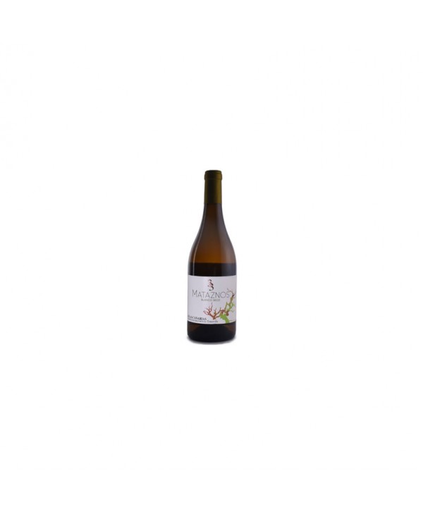 VINO BLANCO SECO MATAZNOS 33 13%VOL.75CL. 
