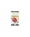 LINDT EXCELL. FRAMBUESA AVELLANA 70% CACAO 20X100GR