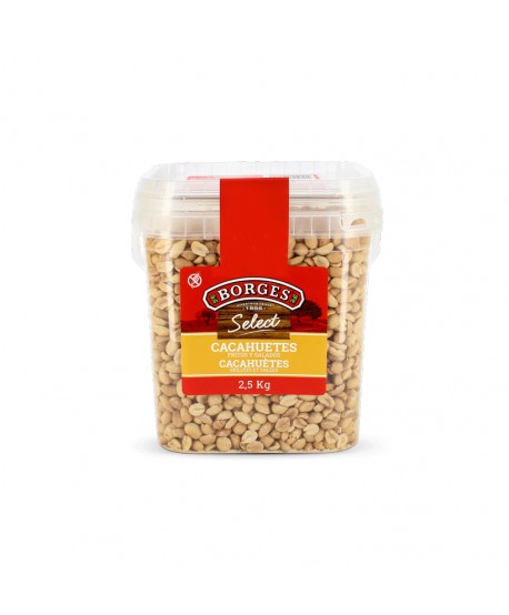 BORGES CACAHUETES FRITOS SALADOS CUBO  2,5KG. 