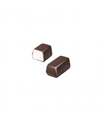FINI BOCADITOS CHOCOLATE CON LECHE BOTE 100UN.