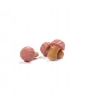 FUNNY MUSHROOMS (SETAS DE FRESA)16X60GR.